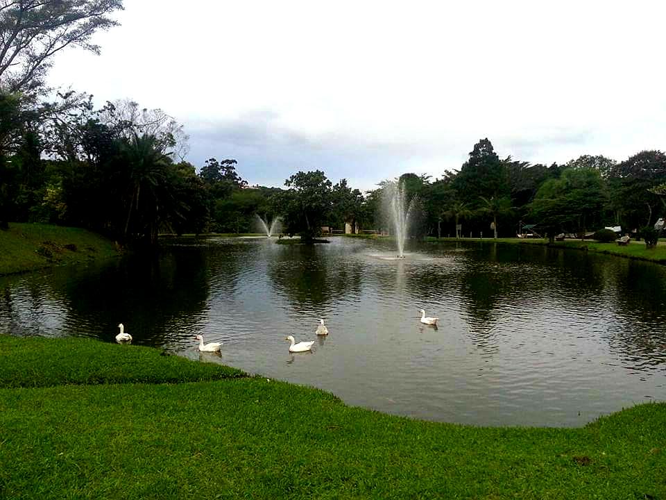 Tranquil stays at Eden Wilds KZN South Coast